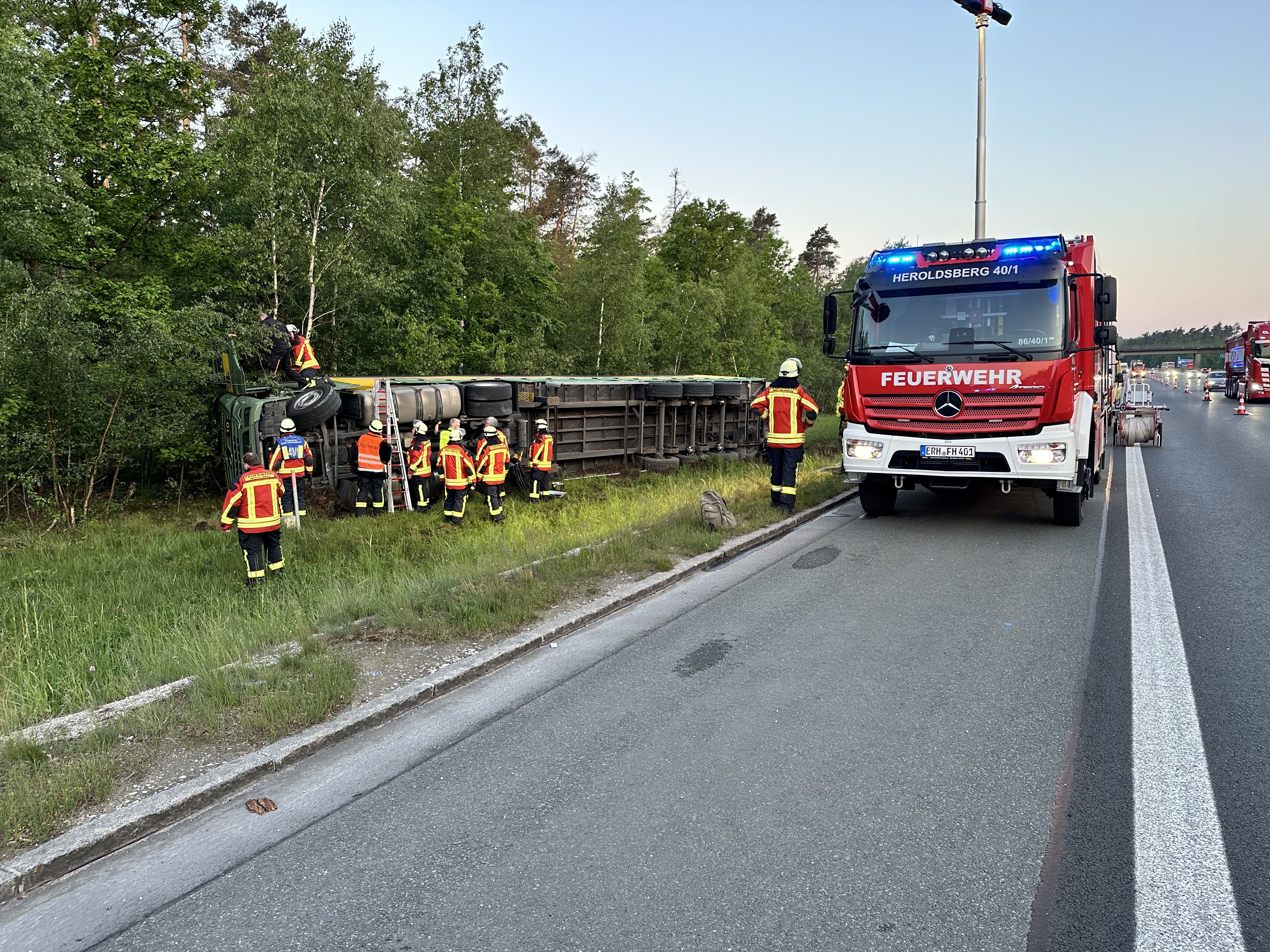 Delfino 05 249488 bearbeitet.jpg